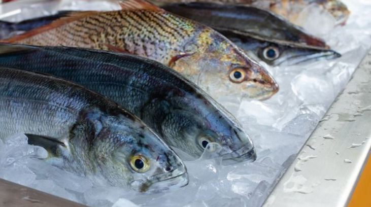 How to Choose Good Fish ? Here are the tips!